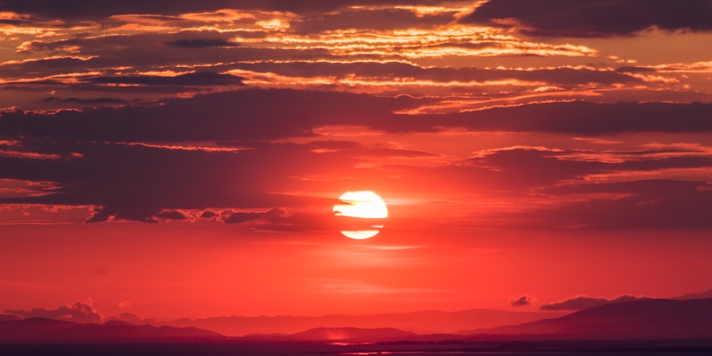 多路体育赛事直播信号同时在线的云端观赛平台界面